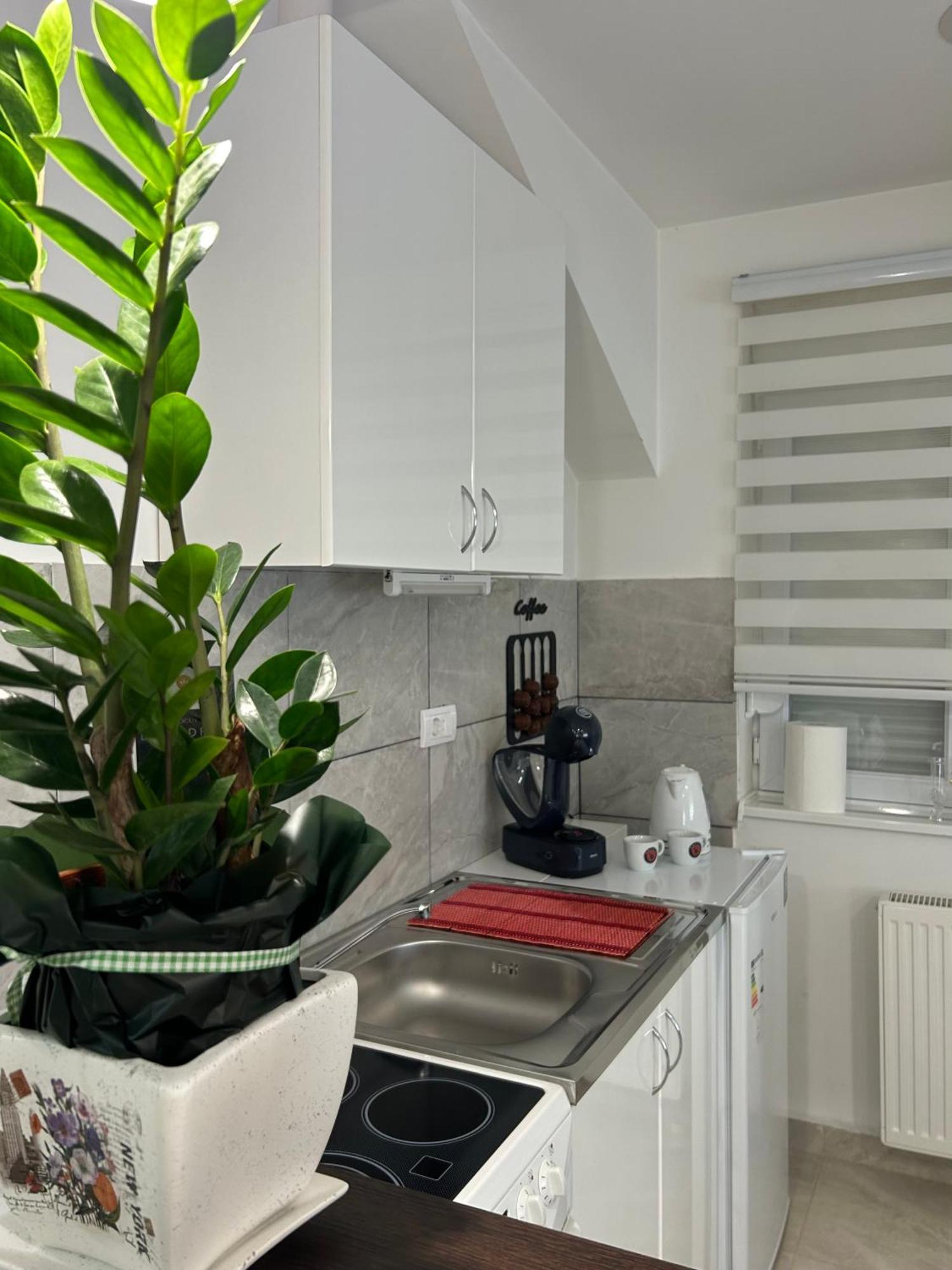 Apartman Diamond Lux Surcin Ngoại thất bức ảnh